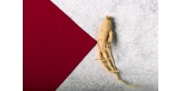 The best ginseng supplements to buy in 2022