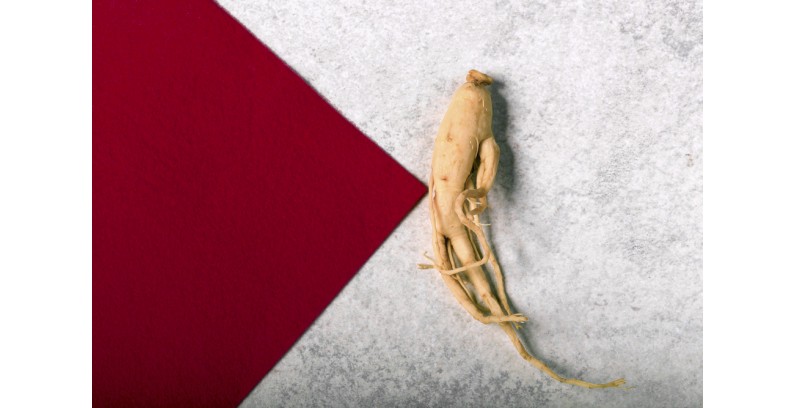 The best ginseng supplements to buy in 2022
