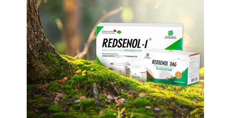 Redsenol Noble Ginsenosides: Proudly Canadian Ginseng Supplement Brand