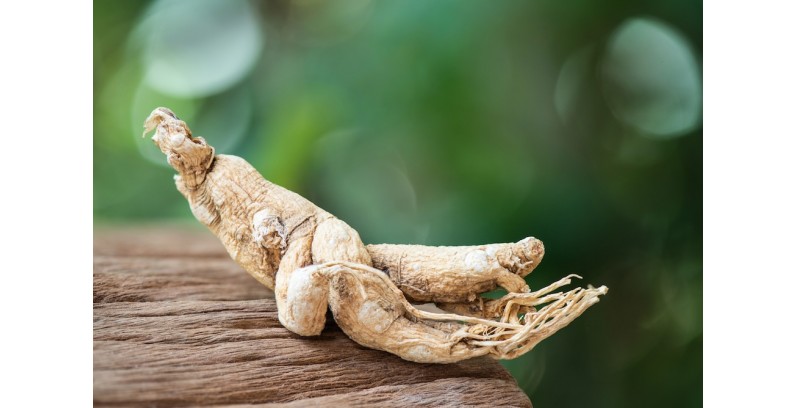 Best Ginseng Supplements in 2026: Why Ginsenosides and Absorption Matter Most