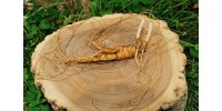 Best Panax/Korean red ginseng to buy for 2022