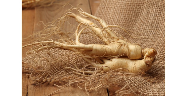 Where to buy the best ginseng in Singapore?