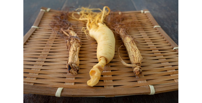 How to choose the best ginseng extracts?